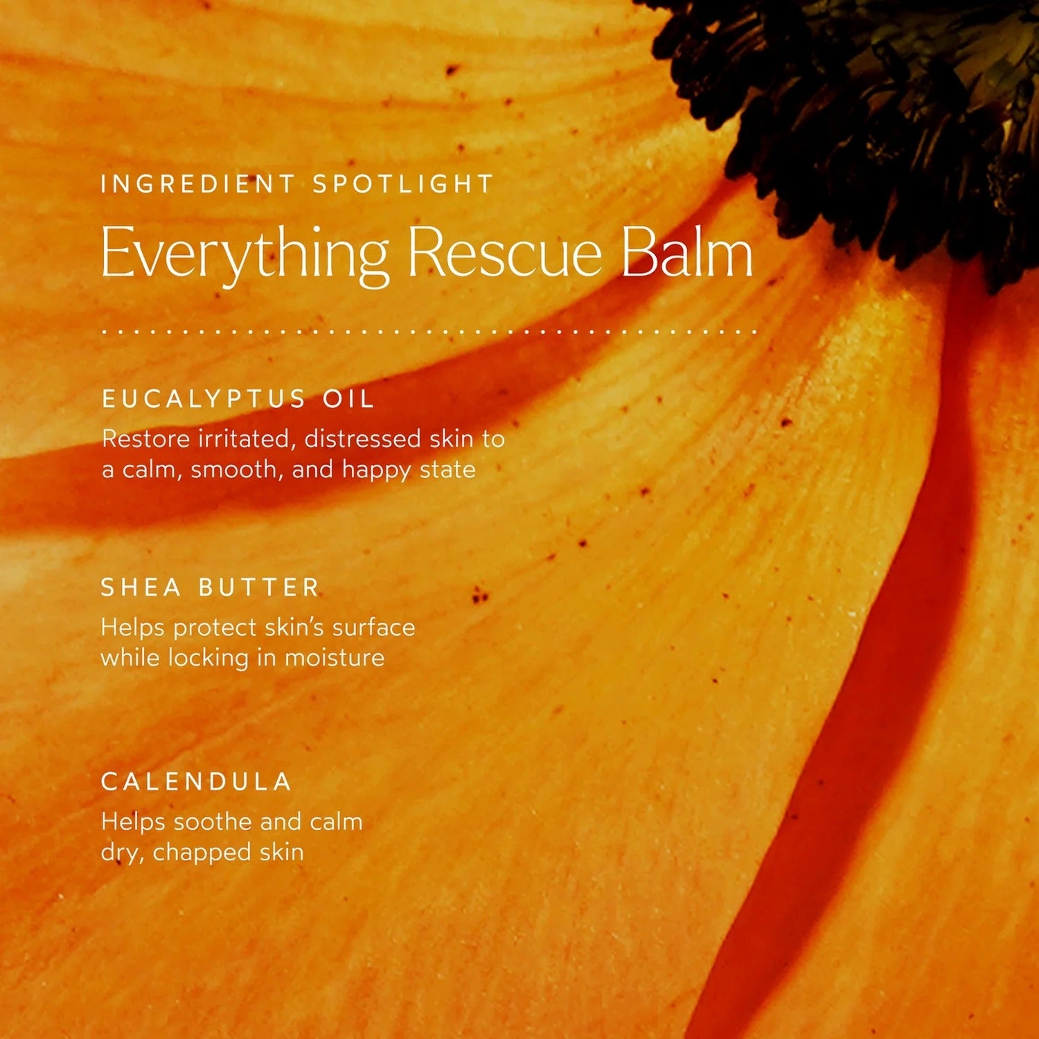 True Botanicals Everything Rescue Balm 50ml