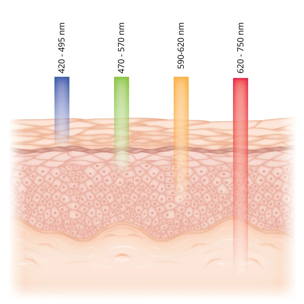 Solaris Labs NY How to Glow 4 Colour LED Face Mask